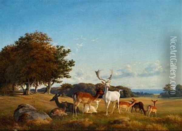 View Of Dyrehaven (the Deer Garden) With Fallow Deer Oil Painting - Carl Henrik Bogh