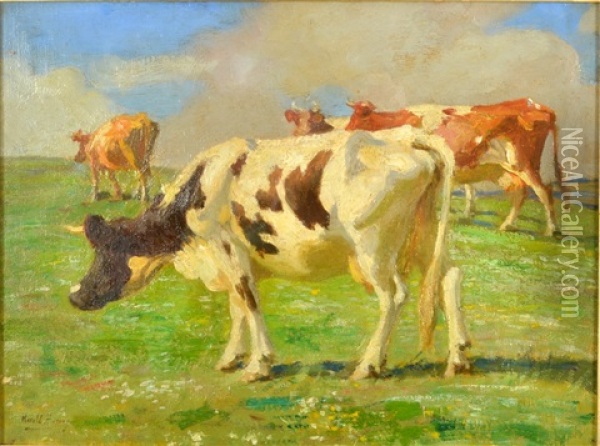 Cows Above Newlyn Oil Painting - Harold Harvey