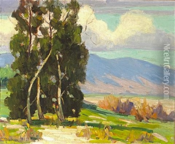 Luminous Afternoon With Eucalyptus Grove Oil Painting - Jean Mannheim