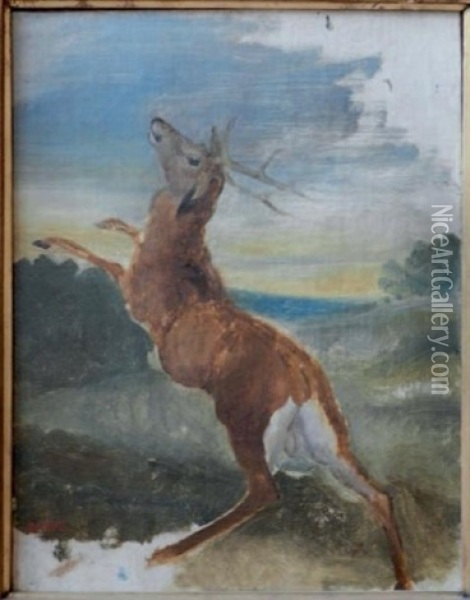 Etude De Cerf Dresse (study) Oil Painting - Antoine-louis Barye