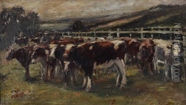 Cows Oil Painting - Harry Fidler