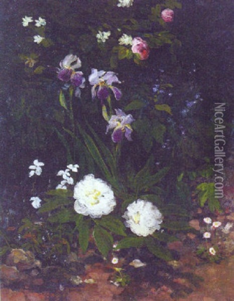 Irises, Roses And Begonias In A Flowerbed Oil Painting - Alexander Jamieson