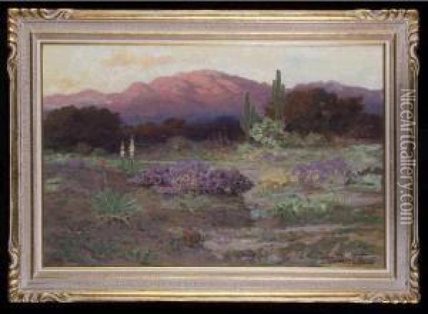 Edge Of The Desert From San Jacintorange Oil Painting - Ralph Davidson Miller