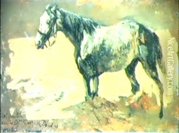 Cavallo Oil Painting - Michele Cammarano