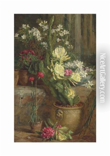 The Flowering Cactus Oil Painting - Anne Ferray Mutrie