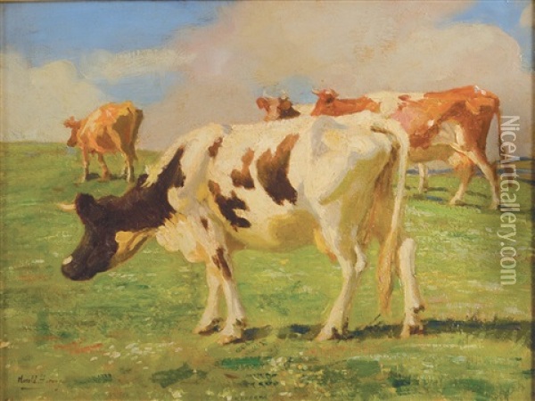 Cows Above Newlyn Oil Painting - Harold Harvey