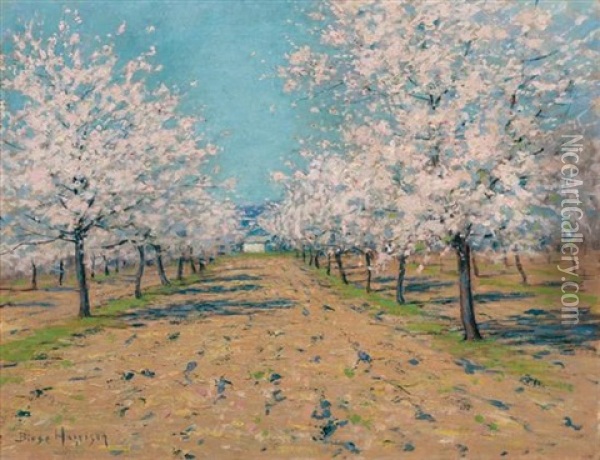 Apple Blossoms Oil Painting - Lovell Birge Harrison