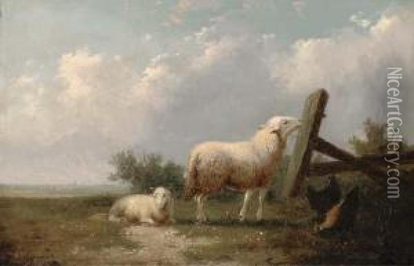 Sheep And Chickens In A Field Oil Painting - Auguste Coomans