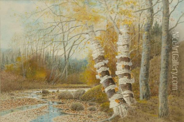 Birches By A Forest Stream Oil Painting - Samuel R. Chaffee