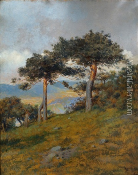 Kiefern Am Hang Oil Painting - Otto Robert Nowak