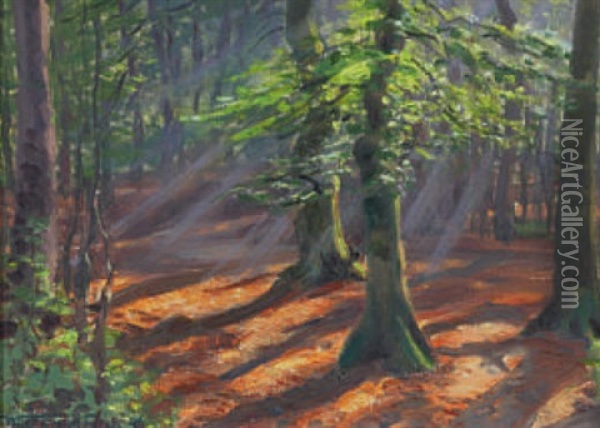 Sonne Im Wald Dahlholzli Oil Painting - Waldemar Theophil Fink