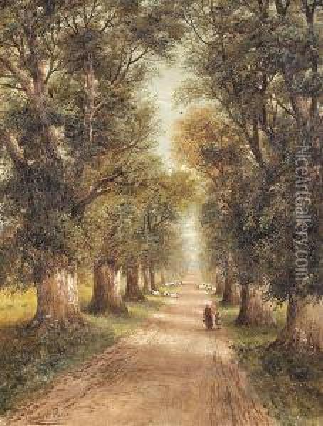 A Forest Lane Oil Painting - Charles Henry Passey