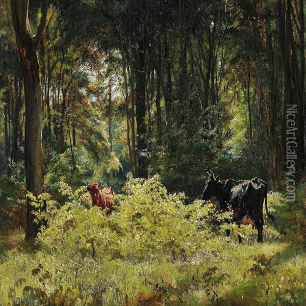 Cattle In A Clearing In The Woods Oil Painting - Otto Bache