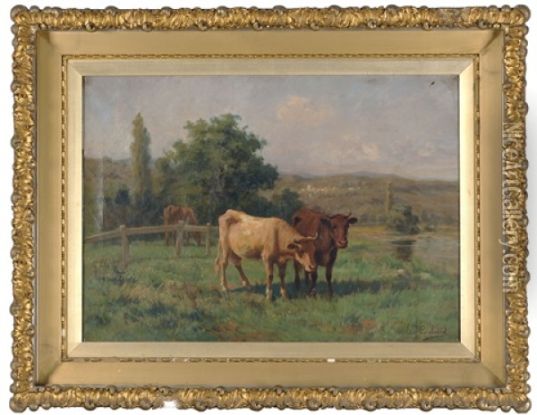 Cows In A Pasture Oil Painting - Martin Caulaud