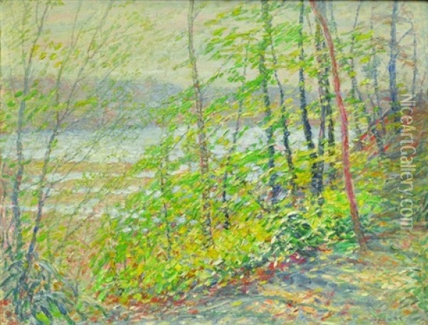 Woods By The Connecticut River Oil Painting - George B. Burr