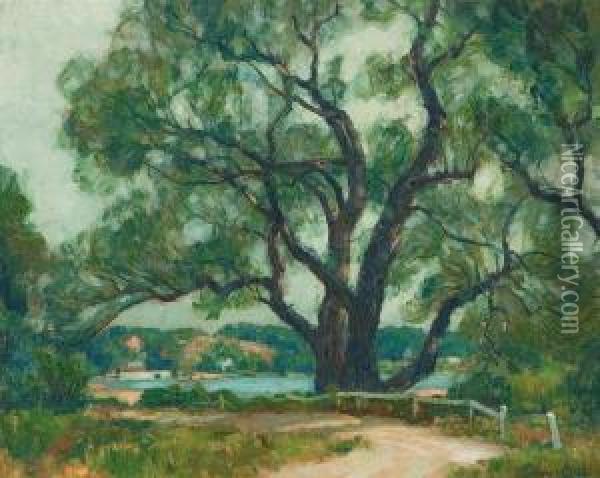 ''the Willows'' Oil Painting - John Fabian Carlson