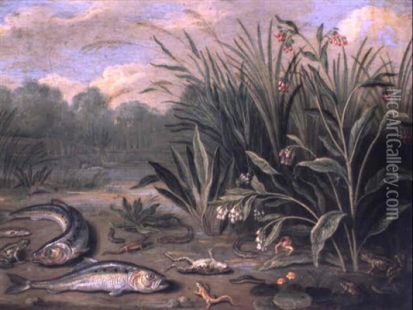 Poissons Et Batraciens S',battant Parmi Des Roseaux Oil Painting - Jan van Kessel the Elder