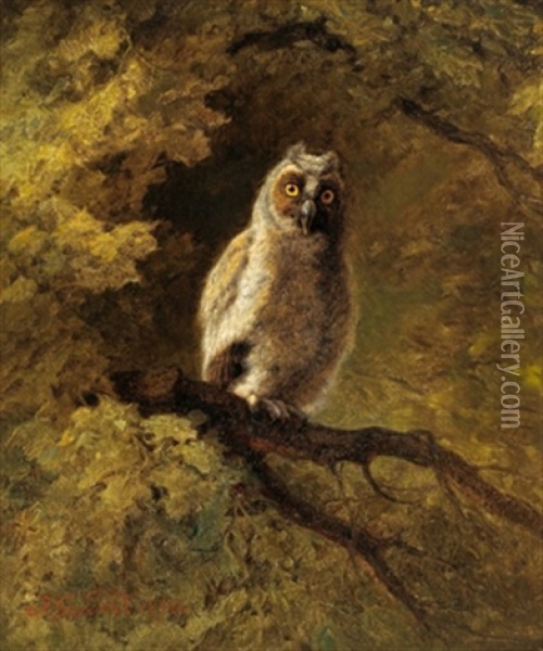 Eine Eule Im Wald Auf Einem Ast Sitzend Oil Painting - Johann Grund