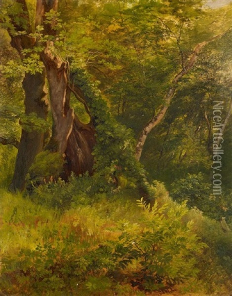 Waldinneres Oil Painting - Friedrich Loos