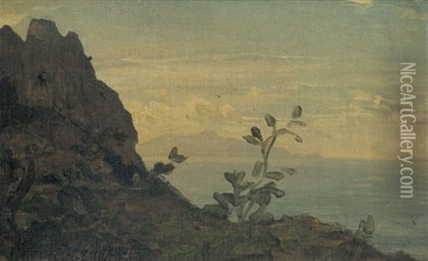 Motiv Auf Capri Oil Painting - Albert Hertel