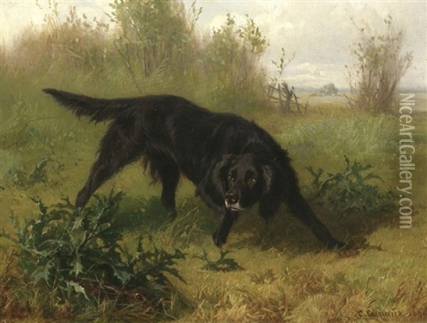 Auf Der Hatz - Schwarzer Setter Einen Hasen Witternd Oil Painting - Conradyn Cunaeus