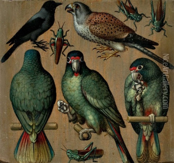 Vogel Und Heuschrecken Oil Painting - Ludger Tom Ring the Younger