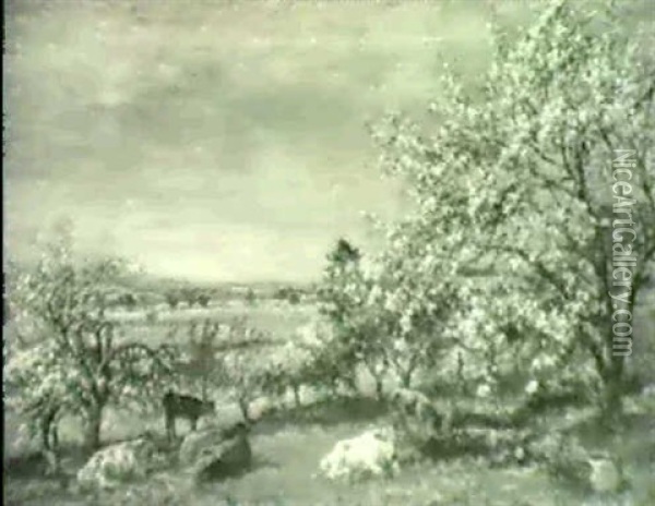 Cattle In An Orchard In Spring Oil Painting - Mark William Fisher
