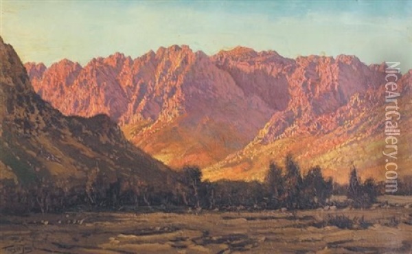 View Of Sunlit Mountains Across A River Oil Painting - Tinus de Jongh