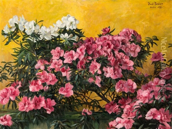 Oleander Oil Painting - Gustav Bauer