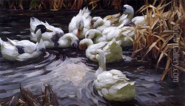 Entenschwarm Mit 8 Enten Am Herbstlichen Teichufer Vor Dem  Schilfgurtel Oil Painting - Alexander Max Koester