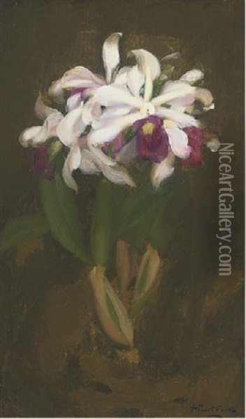 Oriental Lilies Oil Painting - Stuart James Park
