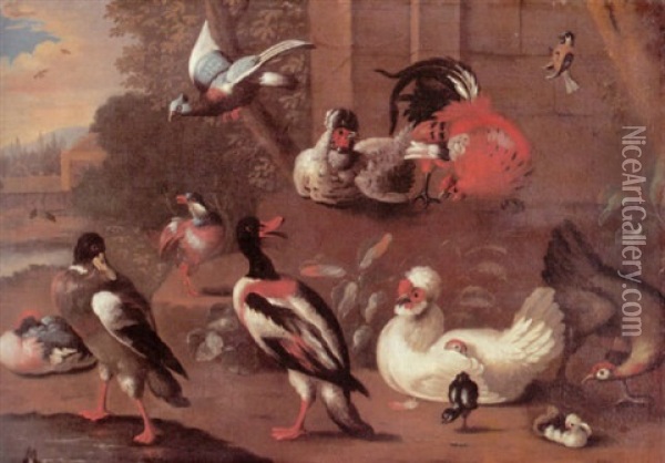 Exotische Huhner Und Enten Sowie Einige Ziervogel In Einer Voliere Vor Einem Schlospark Oil Painting - Adriaen van Oolen