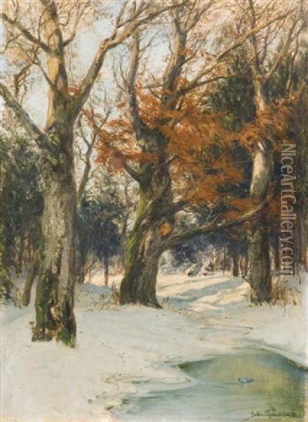 Beeches In Winter Sun Oil Painting - Franz Hoffmann-Fallersleben