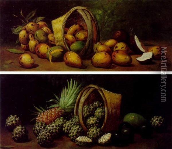 Mangos Y Cocos Oil Painting - Juan Gil Garcia