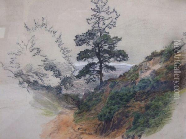 Mountainous Landscape With Scots Pines Oil Painting - William Linnell