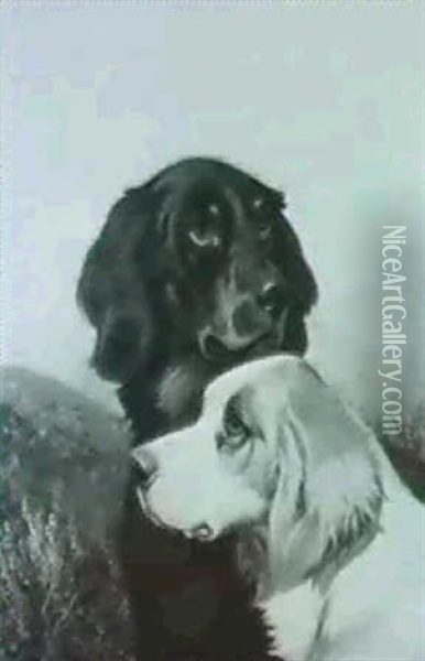 The Heads Of A Gordon Setter And An English Setter; And     The Heads Of Pointers A Pair (2) Oil Painting - Colin Graeme