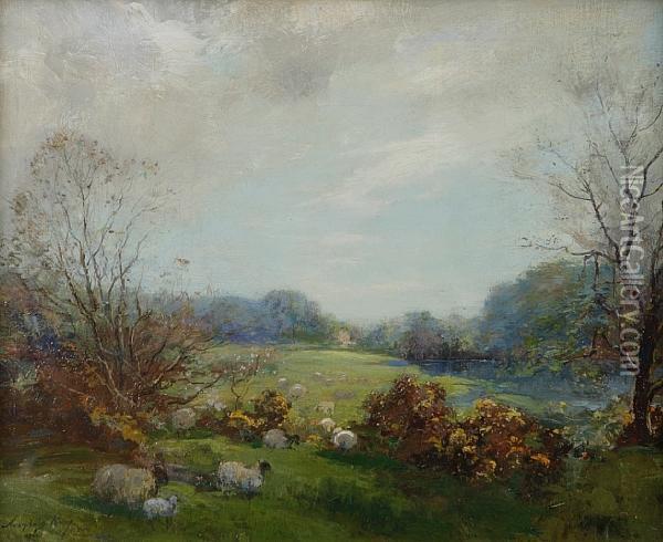 Sheep In A Summer Pasture Oil Painting - Archibald Kay