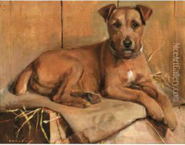 Bruiser, A Terrier Oil Painting - Samuel Fulton