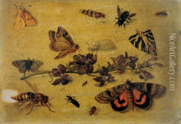 A Study Of A Sprig Of Flowers With Butterflies, Flies, Beetles And A Wasp Oil Painting - Jan van Kessel the Elder