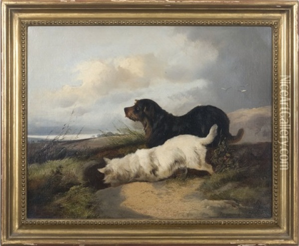 Terriers Ratting Along A Shore Oil Painting - Richard Ansdell