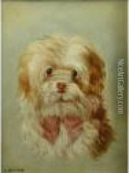 Portrait Of A Small Dog Oil Painting - Landseer, Sir Edwin