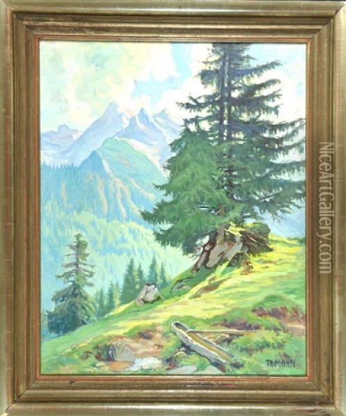 Blick Auf Die Rotspitze Bei Hindelang Oil Painting - Richard Mahn
