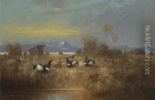 Birkhahne Und -hennen In Moorlandschaft Oil Painting - Otto Scheuerer