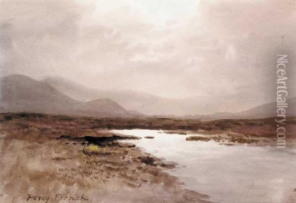 Sunlight Over Bog Oil Painting - William Percy French