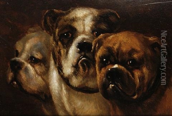 Three Bulldogs (study) Oil Painting - Joseph (Edouard J.) Stevens