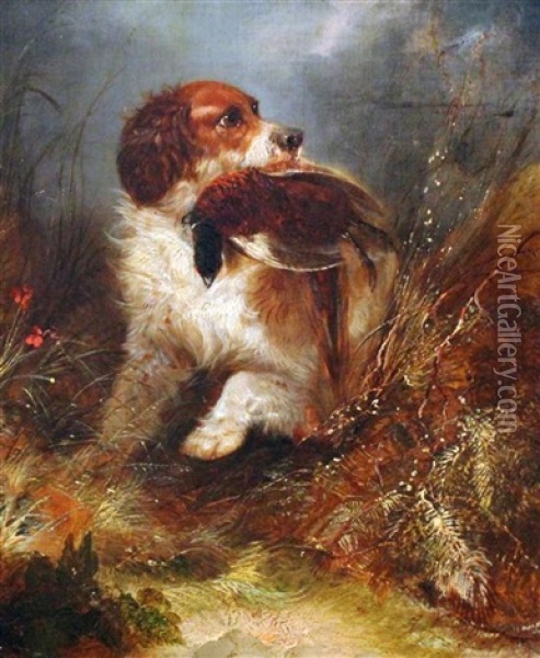 Spaniel With A Pheasant Oil Painting - George Armfield