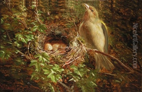 Chaffinch Nesting (+ Green Finch Guarding The Nest; Pair) Oil Painting - William Hughes