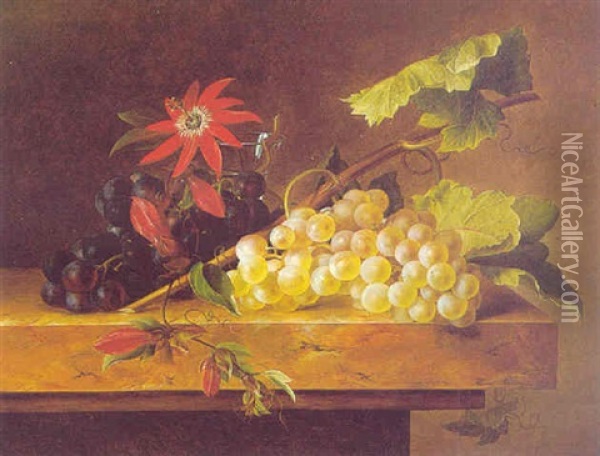 Still Life With Grapes Oil Painting - Hanne Hellesen