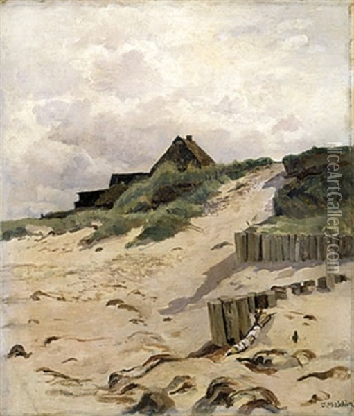 Alte Kate Auf Der Dune, Ahrensloop Oil Painting - Karl Wilhelm Christian Malchin