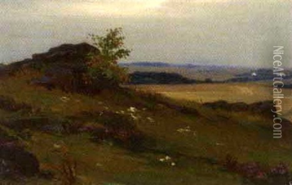 Landschaft Im Waldviertel Oil Painting - Josef Straka